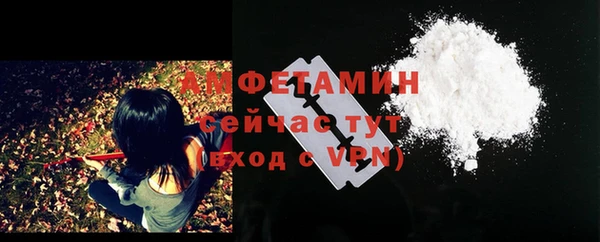 гидра Мегион