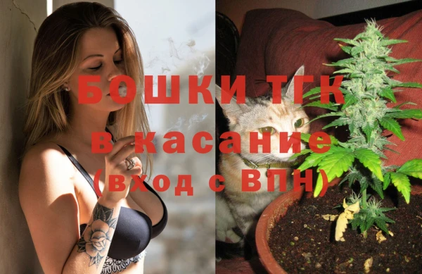гидра Мегион