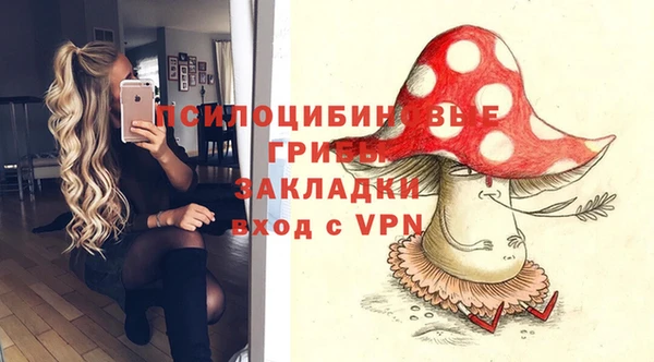 гидра Мегион