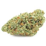 Шишки OG Kush  (Гидропоника, бошки) VHQ в Ряжске